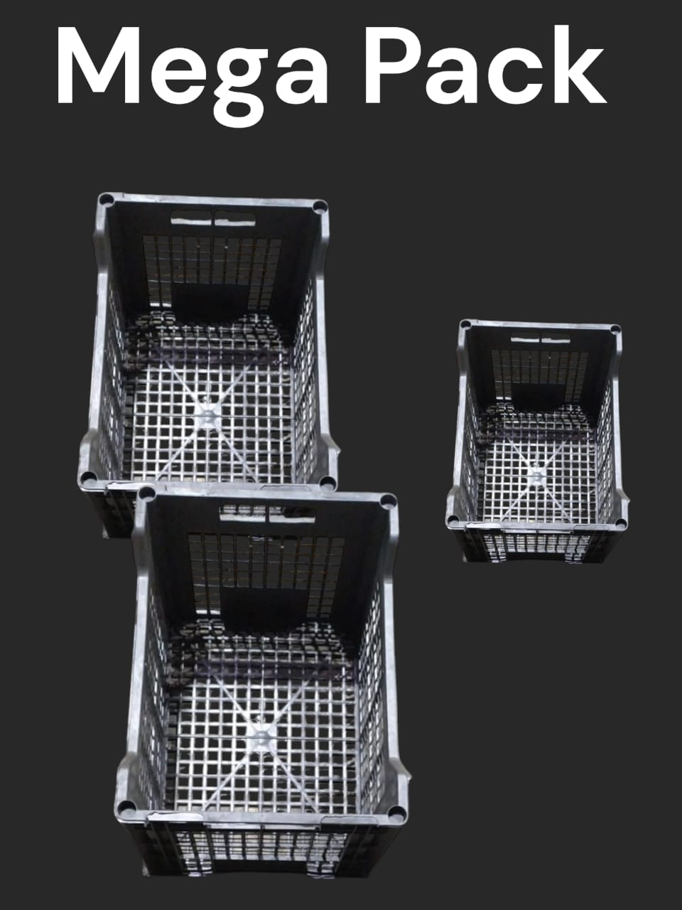 Plastic Boxes & Containers