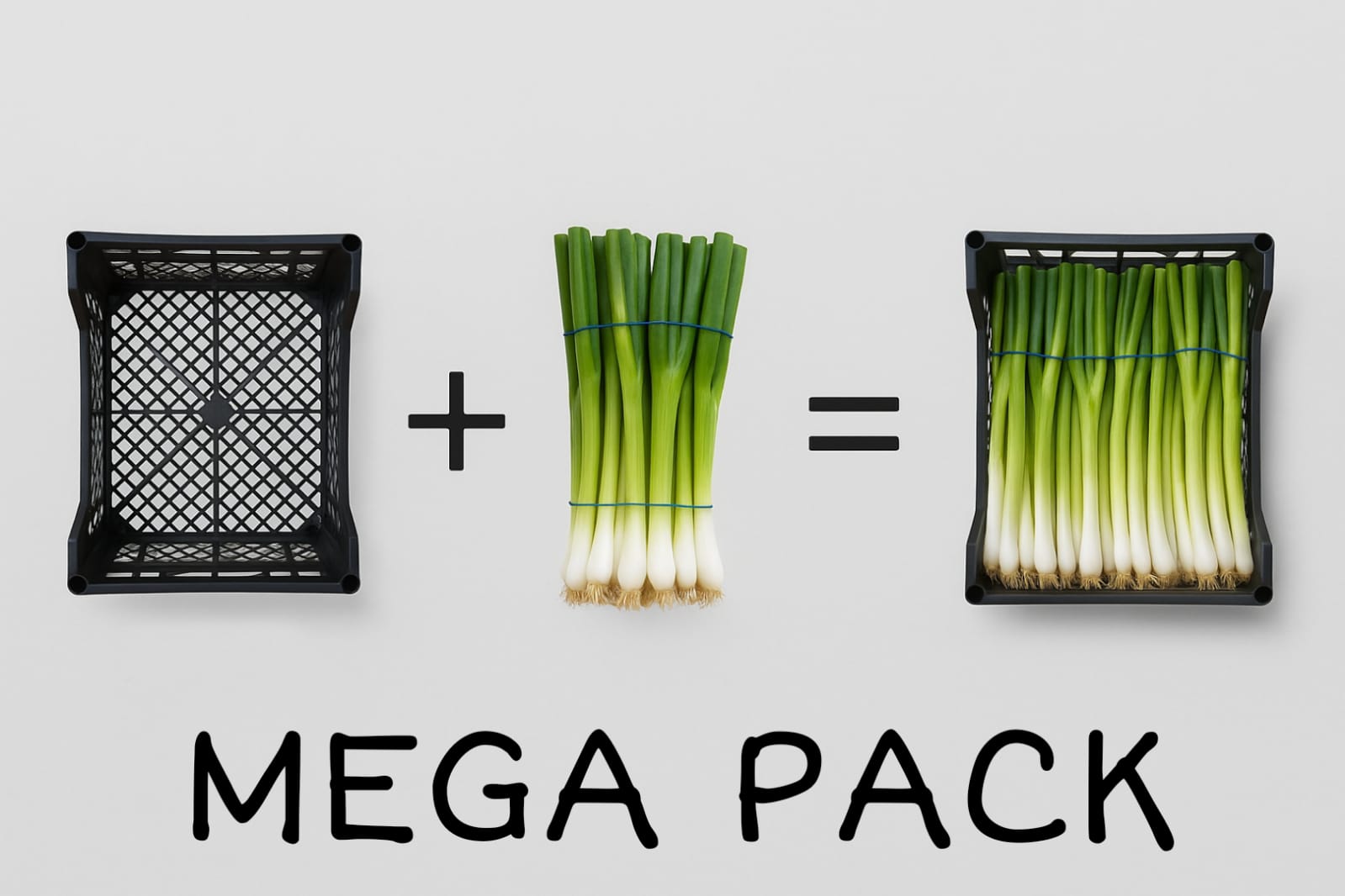 Plastic Boxes & Containers